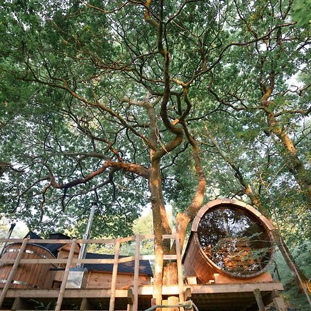 Chestnut Tree House With Hot Tub & Sauna 바머스 외부 사진