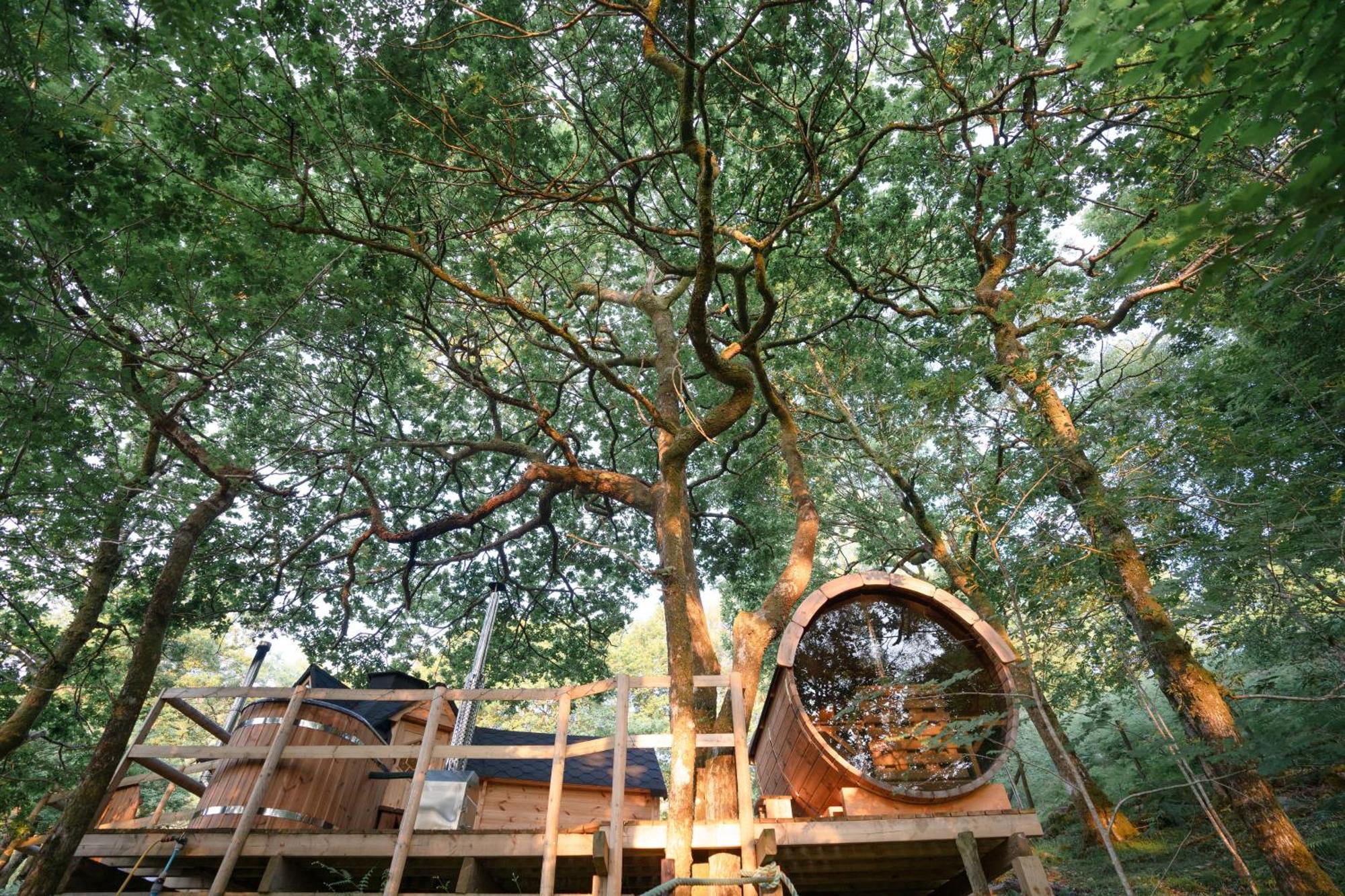 Chestnut Tree House With Hot Tub & Sauna 바머스 외부 사진